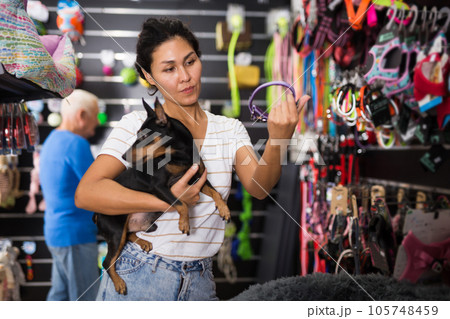 Woman choosing collar for her dog in pet shop 105748459