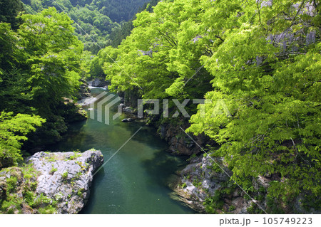 新緑の荒川渓谷 新緑の荒川渓谷 105749223
