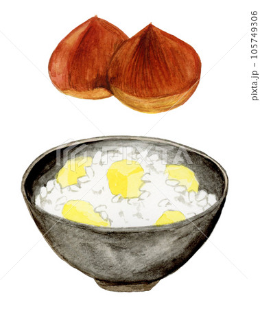 手描き水彩の美味しそうな栗ご飯とくりのイラスト 105749306