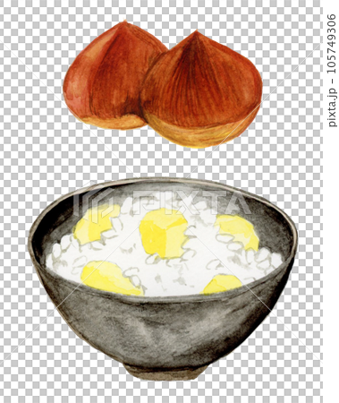 手繪水彩美味板栗米和板栗插畫 105749306
