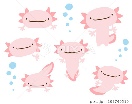 かわいいウーパールーパーとあぶくのセット／手描きイラスト素材 105749519