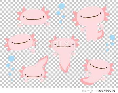 かわいいウーパールーパーとあぶくのセット／手描きイラスト素材 105749519