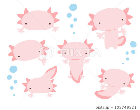 かわいいウーパールーパーとあぶくのセット／手描きイラスト素材 105749521