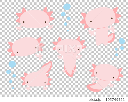 かわいいウーパールーパーとあぶくのセット／手描きイラスト素材 105749521