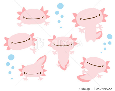 かわいいウーパールーパーとあぶくのセット/手描きイラスト素材 かわいいウーパールーパーとあぶくのセット/手描きイラスト素材 105749522