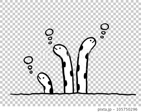 かわいいモノクロのチンアナゴ／手描きイラスト素材 105750296