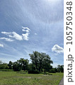 清々しい青空と長閑な公園の風景 105750348