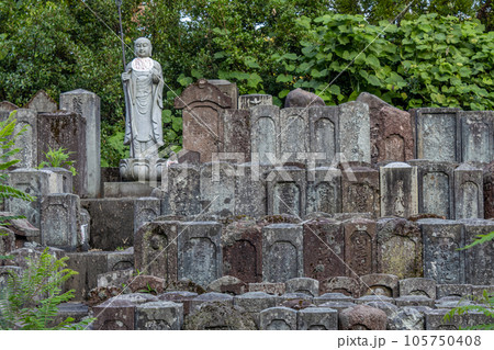 Stone statue of Ojizou san and hundreds of small tombs, Japan. 105750408