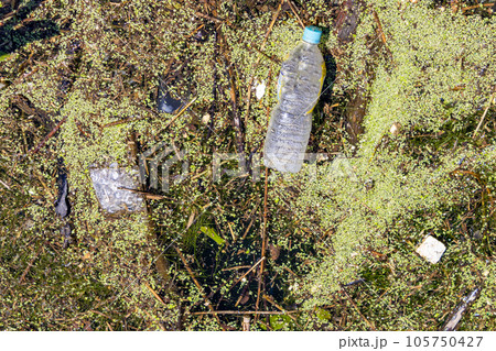 Trash in harbour water, Kanaiwa, Japan. 105750427