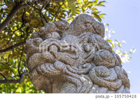 Komainu, or lion-dog (public art) at Kanaiwa, Japan. 105750428