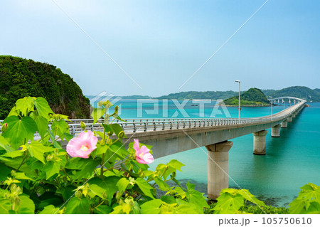 角島大橋 角島大橋 105750610