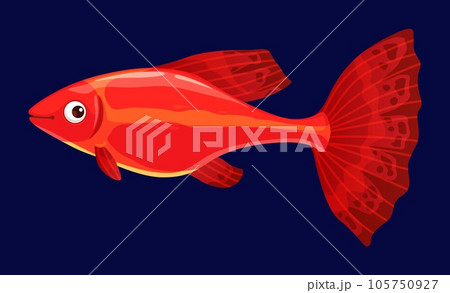 Fish cartoon character, funny cute red tropical fish for kid mascot or marine game, isolated vector. Aquarium water, sea or underwater ocean fish with funny face, exotic undersea and coral ref fauna 105750927