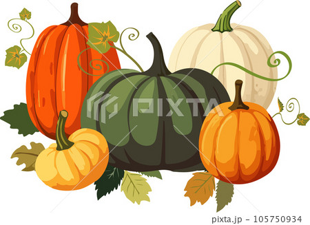 Vector illustration of five various colorful cartoon style pumpkins with leaves on white background.  105750934