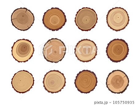 Tree trunks and wood cut stumps with texture of circles or annual growth rings pattern, vector wooden slices. Timber log or tree trunk cuts with age circles, forest lumber sections or round stumps 105750935