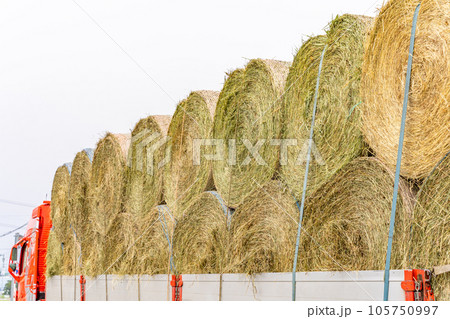麦稈ロールを運ぶトラック 麦稈ロールを運ぶトラック 105750997