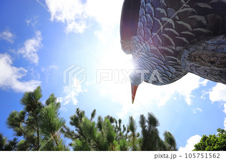 ヤンバルクイナ展望台 ヤンバルクイナ展望台 105751562