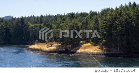 Canadian Landscape by the ocean and mountains. 105751614