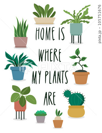 Home is where my plants are. Poster and greeting card design. Set of cute potted homeplants in cartoon flat style. Vector illustration Home is where my plants are. Poster and greeting card design. Set of cute potted homeplants in cartoon flat style. Vector illustration 105751676