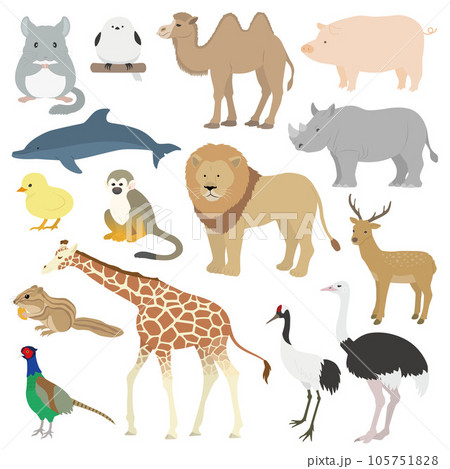 動物のイラストセット 105751828