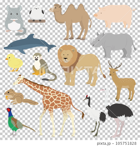 動物のイラストセット 105751828