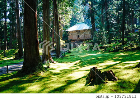 平泉寺白山神社　拝殿　新緑　初夏 105751913