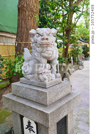 銀杏岡八幡神社の狛犬（ 東京都台東区） 105752409