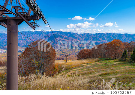 【秋素材】紅葉真っ盛りのハクバマウンテンハーバー【長野県】 105752567