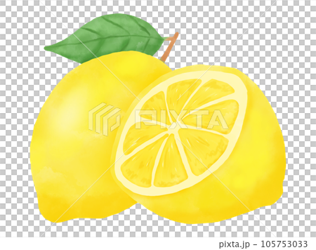 檸檬葉和切檸檬的水彩插圖 檸檬葉和切檸檬的水彩插圖 105753033