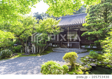 京都・泉涌寺塔頭 新善光寺 本堂 京都・泉涌寺塔頭 新善光寺 本堂 105753430