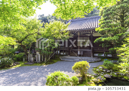 京都・泉涌寺塔頭　新善光寺　本堂 105753431