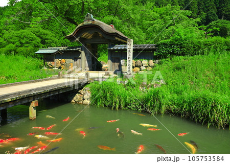 【福井県】晴天の一乗谷朝倉氏遺跡(朝倉館跡) 【福井県】晴天の一乗谷朝倉氏遺跡(朝倉館跡) 105753584