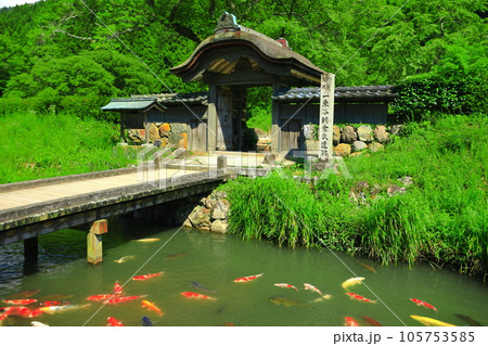 【福井県】晴天の一乗谷朝倉氏遺跡(朝倉館跡) 【福井県】晴天の一乗谷朝倉氏遺跡(朝倉館跡) 105753585
