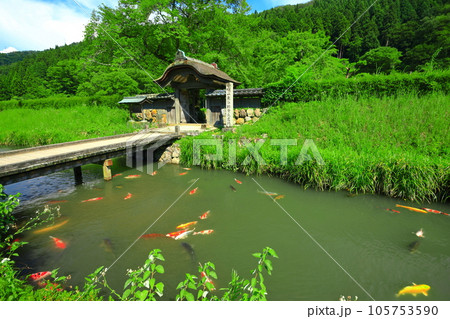 【福井県】晴天の一乗谷朝倉氏遺跡（朝倉館跡） 105753590