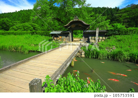 【福井県】晴天の一乗谷朝倉氏遺跡(朝倉館跡) 【福井県】晴天の一乗谷朝倉氏遺跡(朝倉館跡) 105753591