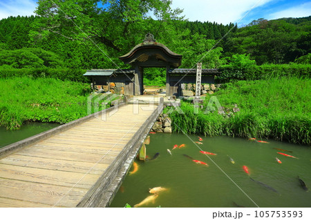 【福井県】晴天の一乗谷朝倉氏遺跡（朝倉館跡） 105753593
