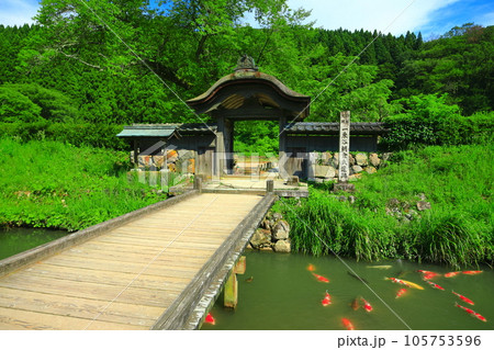 【福井県】晴天の一乗谷朝倉氏遺跡(朝倉館跡) 【福井県】晴天の一乗谷朝倉氏遺跡(朝倉館跡) 105753596