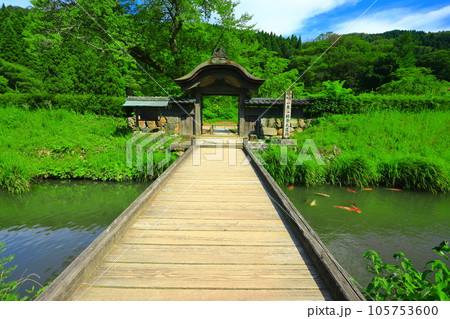 【福井県】晴天の一乗谷朝倉氏遺跡（朝倉館跡） 105753600