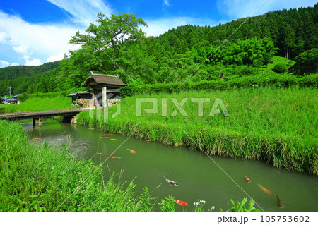 【福井県】晴天の一乗谷朝倉氏遺跡（朝倉館跡） 105753602