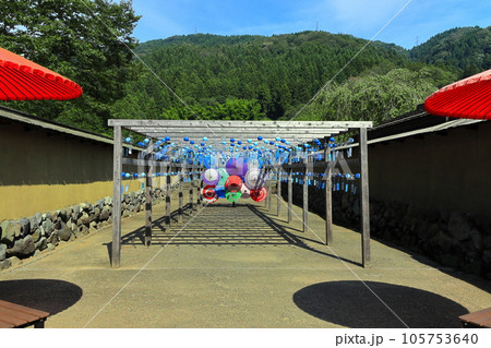 【福井県】晴天の一乗谷朝倉氏遺跡（朝倉館跡） 105753640