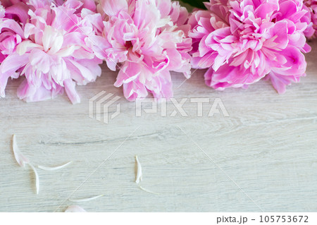 several branches of blooming pink peonies on a wooden table several branches of blooming pink peonies on a wooden table 105753672