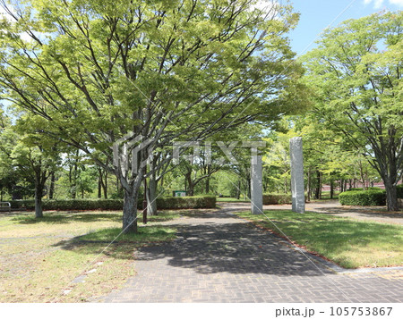 8月 西神中央公園 神戸市 西区 駅から5分の公園 8月 西神中央公園 神戸市 西区 駅から5分の公園 105753867