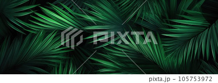 Background from green palm leaves 105753972