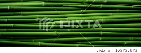 Horizontal green bamboo background texture 105753973