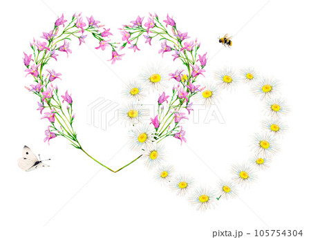 Camomile and bluebell flowers heart-shaped frames isolated on white background. Tender watercolor floral illustration with white butterfly and a bee. Wildflowers hand-painted for wedding, valentines Camomile and bluebell flowers heart-shaped frames isolated on white background. Tender watercolor floral illustration with white butterfly and a bee. Wildflowers hand-painted for wedding, valentines 105754304