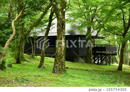 箱根町 芦ノ湖キャンプ村のケビン棟と深緑 箱根町 芦ノ湖キャンプ村のケビン棟と深緑 105754305
