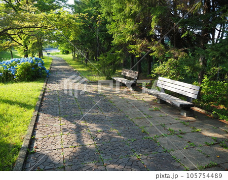 ベンチと紫陽花の小道 ベンチと紫陽花の小道 105754489