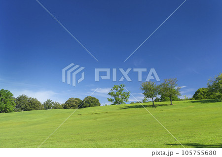 奈良公園　飛火野　夏の季節 105755680