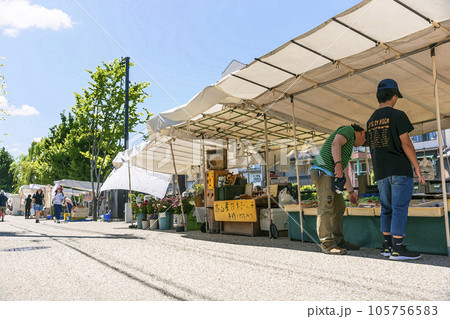 230804宮川朝市イラスト5z056 105756583