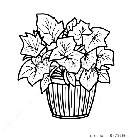 coloring page.Autumn foliage coloring book, black and white linear illustration 105757669