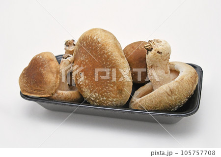 生椎茸（八色しいたけ） 105757708